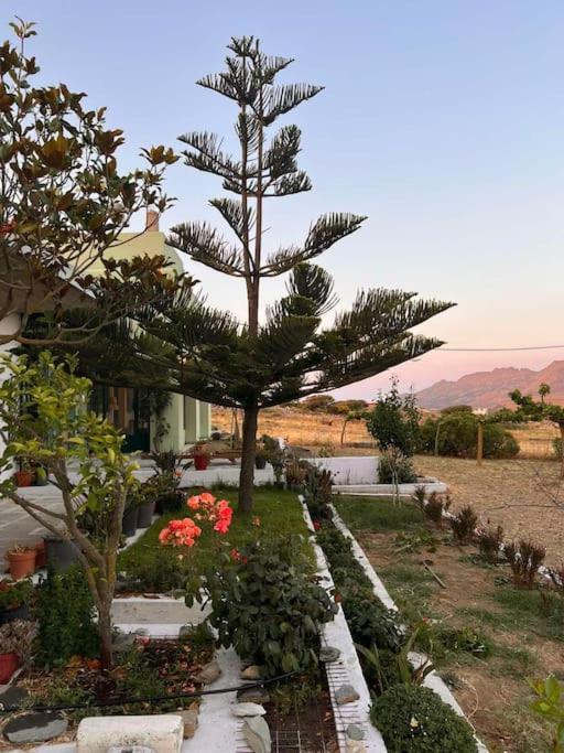 Borgo Majoca - Μονοκατοικία Σε Κυκλαδίτικο Νησί Mési Exteriér fotografie